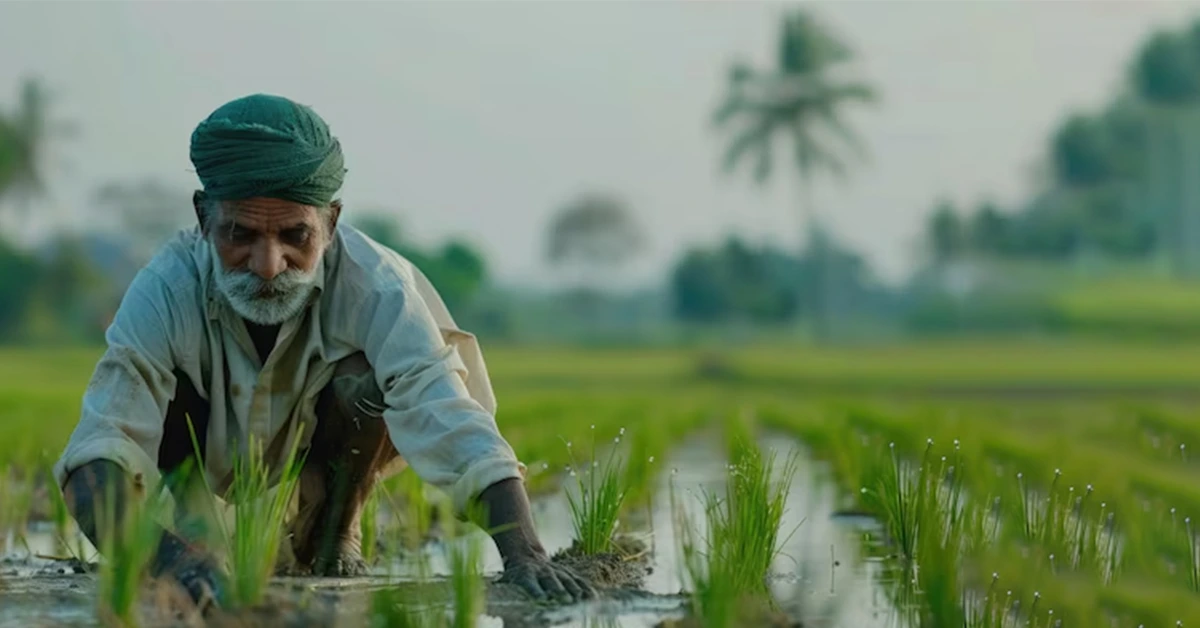 धान की खेती में करें इन 2 आधुनिक कृषि यंत्र का इस्तेमाल, मुनाफा होगा सीधा डबल